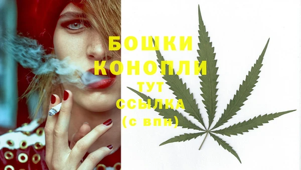 мескалин Гусь-Хрустальный