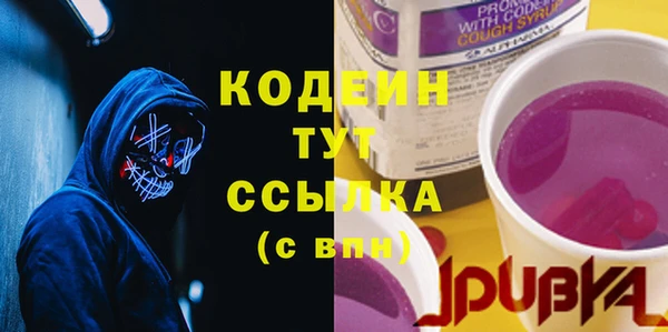 крисы Гусев