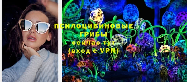 мескалин Гусь-Хрустальный