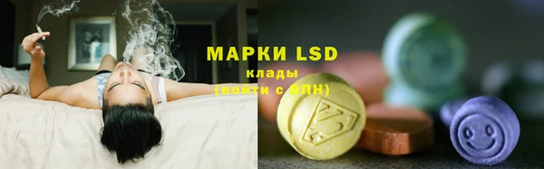 крисы Гусев
