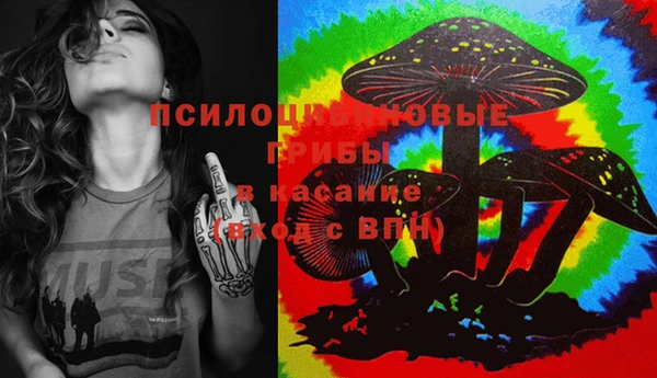 мескалин Гусь-Хрустальный