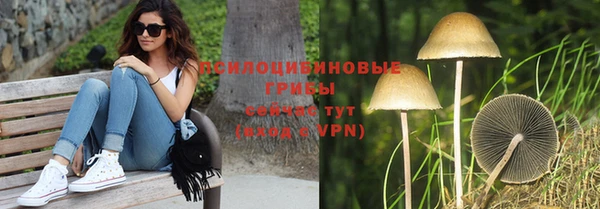 мескалин Гусь-Хрустальный