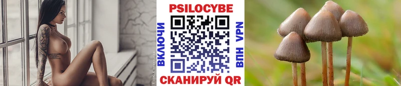 Купить  Краснокамск  Псилоцибиновые грибы Magic Shrooms 